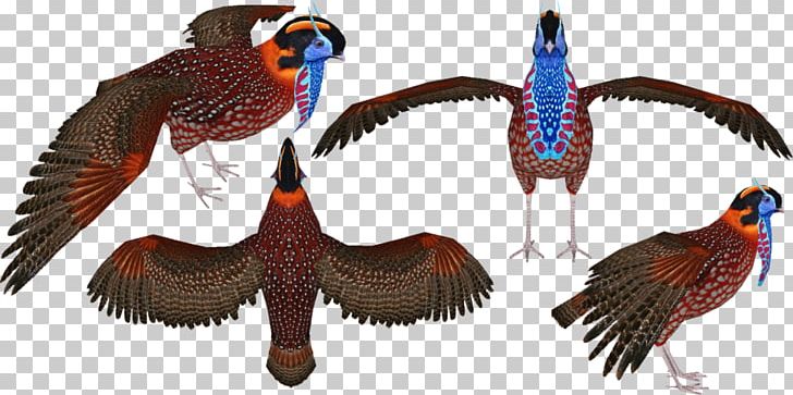 Phasianidae Feather Beak Vulture Wildlife PNG, Clipart, Animal Figure, Beak, Bird, Fauna, Feather Free PNG Download