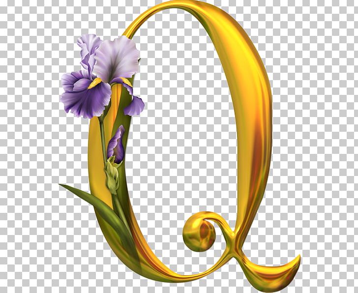 Portable Network Graphics Letter Alphabet Psd PNG, Clipart, Alphabet, Body Jewelry, Calligraphy, Computer Icons, Cut Flowers Free PNG Download