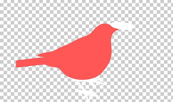 Beak Logo Brand Font PNG, Clipart, Beak, Bird, Brand, Logo, Red Free PNG Download