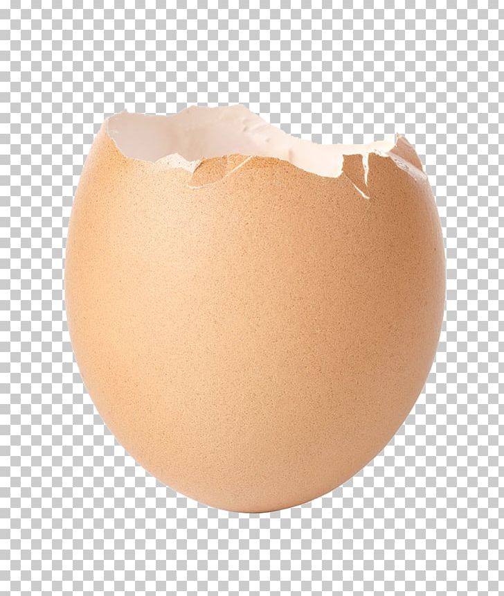 Chicken Eggshell PNG, Clipart, Animal, Chicken Eggshell, Download, Egg ...