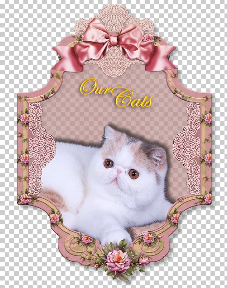 Exotic Shorthair Frames Paper Decoupage Photography PNG, Clipart, Cat, Cat Like Mammal, Decoupage, Domestic Short Haired Cat, Domestic Shorthaired Cat Free PNG Download