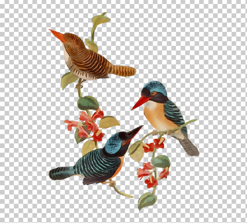 Hummingbird PNG, Clipart, Animal Figure, Beak, Bird, Coraciiformes, Figurine Free PNG Download