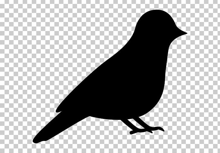 Bird Silhouette Drawing PNG, Clipart, Animals, Art, Beak, Bird, Black And White Free PNG Download