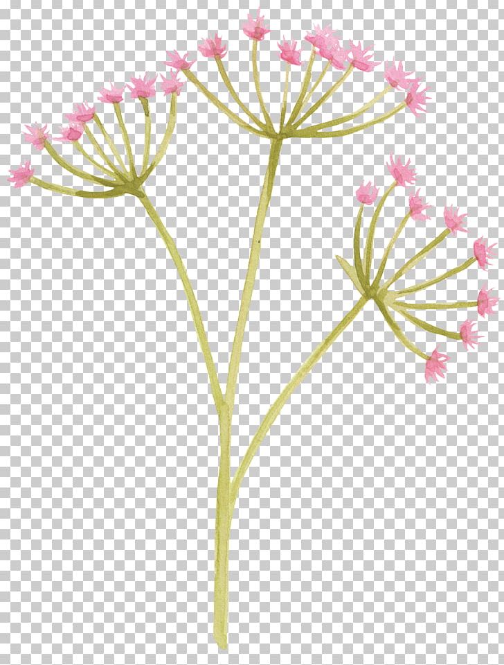 Common Dandelion Flower Purple PNG, Clipart, Chrysanths, Cut Flowers, Dandelion, Drawing, Encapsulated Postscript Free PNG Download