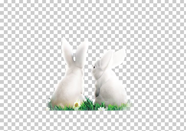 Domestic Rabbit Easter Bunny White Rabbit PNG, Clipart, Animals, Christmas Decoration, Decorative, Decorative Pattern, Domestic Rabbit Free PNG Download