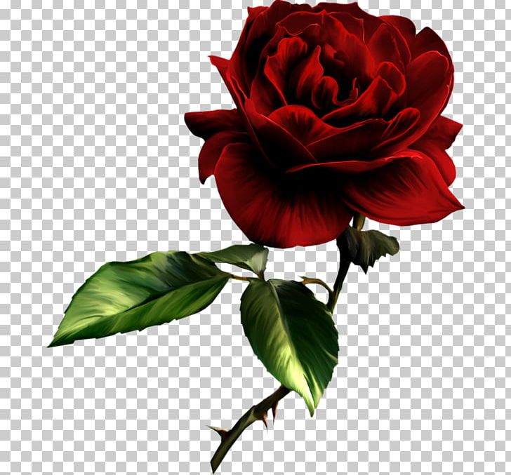 Rose Painting Red PNG, Clipart, Art, China Rose, Clip Art, Color, Cut Flowers Free PNG Download