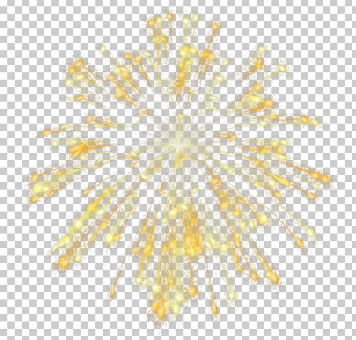 GIMP DAS Productions Inc Fireworks Poser PNG, Clipart, 3d Computer Graphics, Animaatio, Das Productions Inc, Daz, Diary Free PNG Download