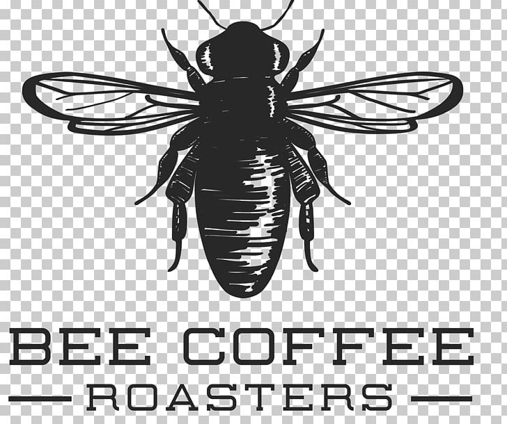 Honey Bee Coffee Cafe Latte PNG, Clipart, Arthropod, Bee, Beverages, Black And White, Cafe Free PNG Download