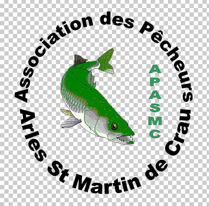 Saint-Rémy-de-Provence Port-Saint-Louis-du-Rhône Association Des Pecheurs Arles PNG, Clipart, Arles, Blog, Brand, Fauna, Fish Free PNG Download