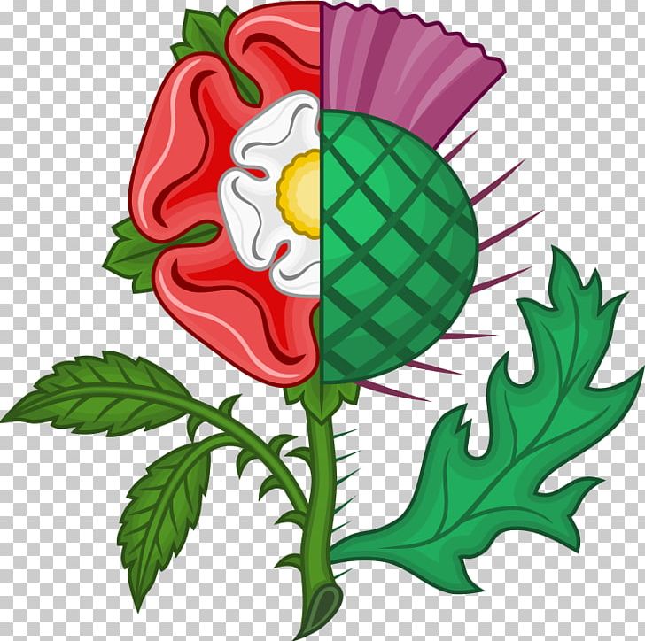 Thistle Scotland Rose The Thrissil And The Rois Union Of The Crowns PNG, Clipart, Artwork, Creeping Thistle, Cut Flowers, Flora, Floral Design Free PNG Download