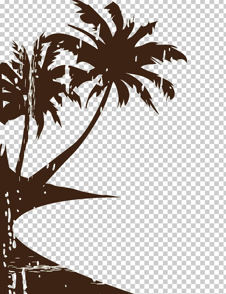 Arecaceae Ocean Beach Seaside Resort PNG, Clipart,  Free PNG Download