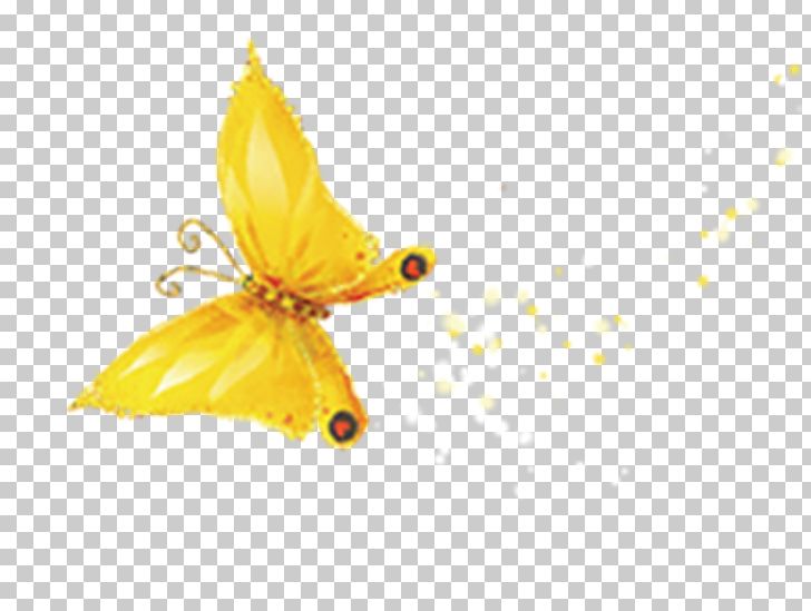Butterfly Gold Computer File PNG, Clipart, Butterfly, Computer File, Designer, Download, Fly Free PNG Download