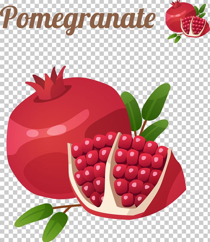 Pomegranate Cartoon Fruit Icon PNG, Clipart, Balloon Cartoon, Cartoon Character, Cartoon Eyes, Cartoon Fruit, Cartoons Free PNG Download