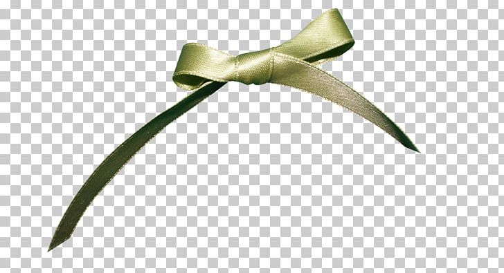 Ribbon Gift Shoelace Knot PNG, Clipart, Bow, Bow Tie, Download, Flower, Fresh Free PNG Download