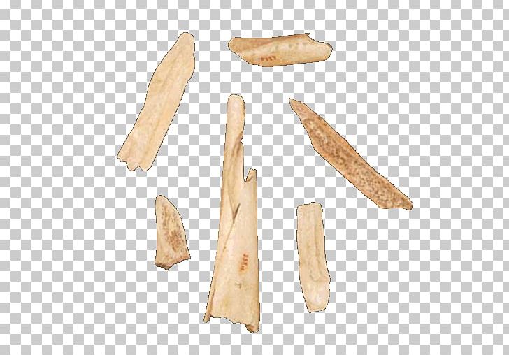 Wood /m/083vt PNG, Clipart, Bone, Fragment, M083vt, Nature, Wood Free PNG Download