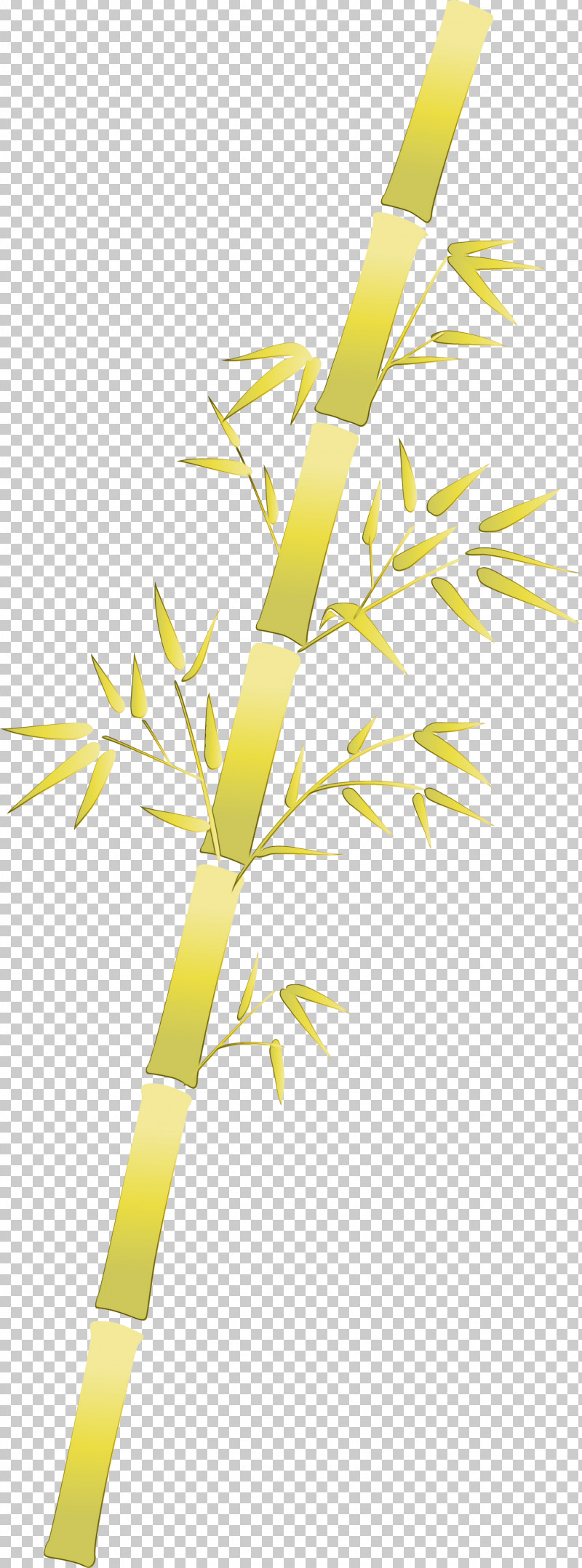 Yellow Leaf Line Branch Plant PNG, Clipart, Bamboo, Branch, Flower, Grass, Grass Family Free PNG Download