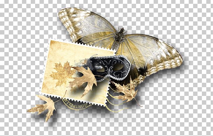 Butterfly Bombycidae PNG, Clipart, Arthropod, Blog, Bombycidae, Butterfly, Clip Art Free PNG Download
