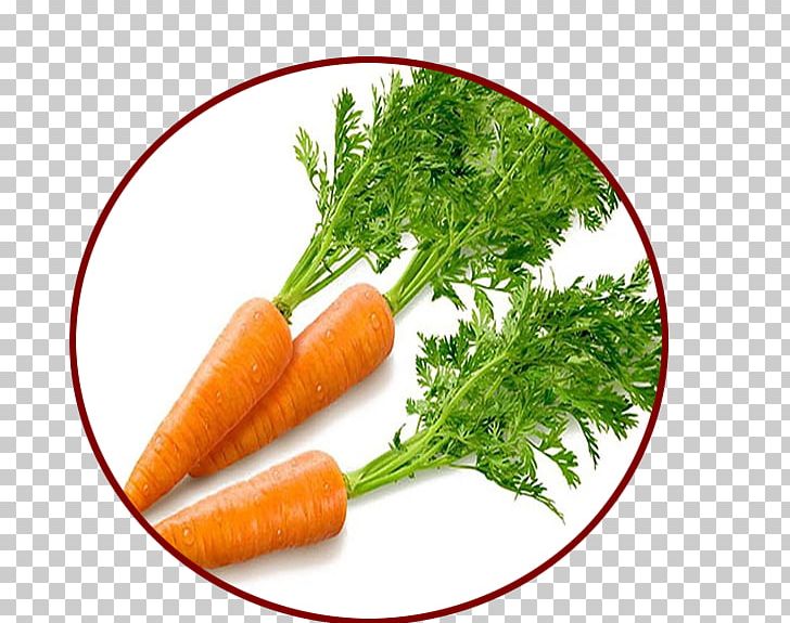 Carrot Vegetable Beta-Carotene Food PNG, Clipart, Asparagus, Baby Carrot, Betacarotene, Carotene, Carotenoid Free PNG Download