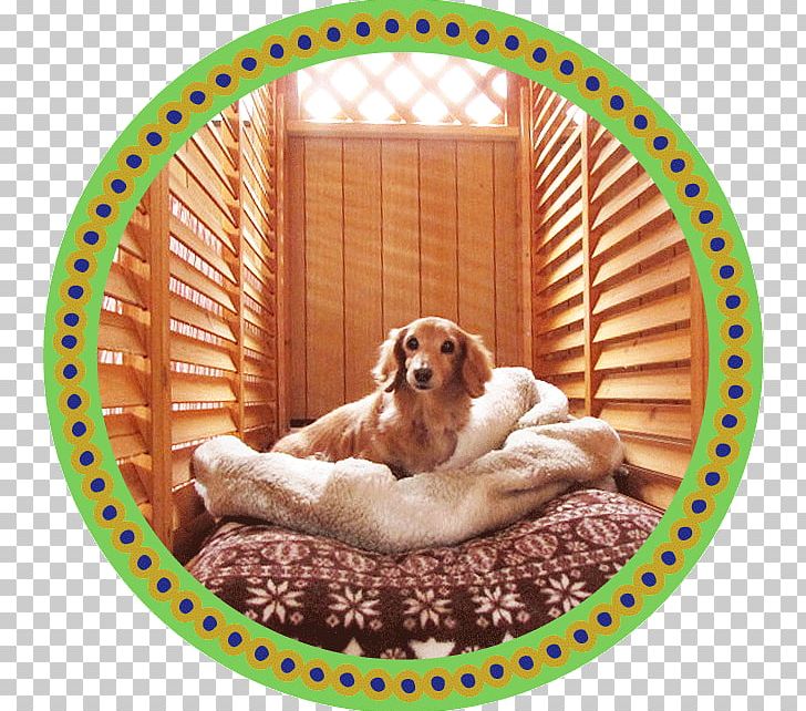 Cockapoo トリミングスタジオ４-ＤＯＧＳ Puppy Companion Dog Dog Breed PNG, Clipart, Animals, Cockapoo, Companion Dog, Dog, Dog Bed Free PNG Download