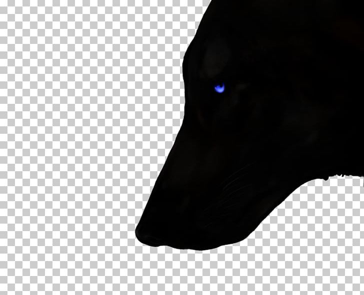 Community Dog Artist PNG, Clipart, Art, Artist, Black, Black M, Character Creation Free PNG Download