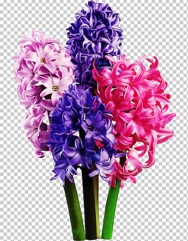 Floral Design PNG, Clipart, Floral Design, Flower, Garden Roses, Lavendertransparent, Lavender Transparent Free PNG Download