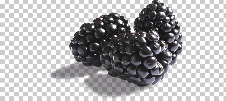 Boysenberry BlackBerry Pearl Raspberry PNG, Clipart, Belle, Berry, Bilder, Blackberries, Blackberry Free PNG Download