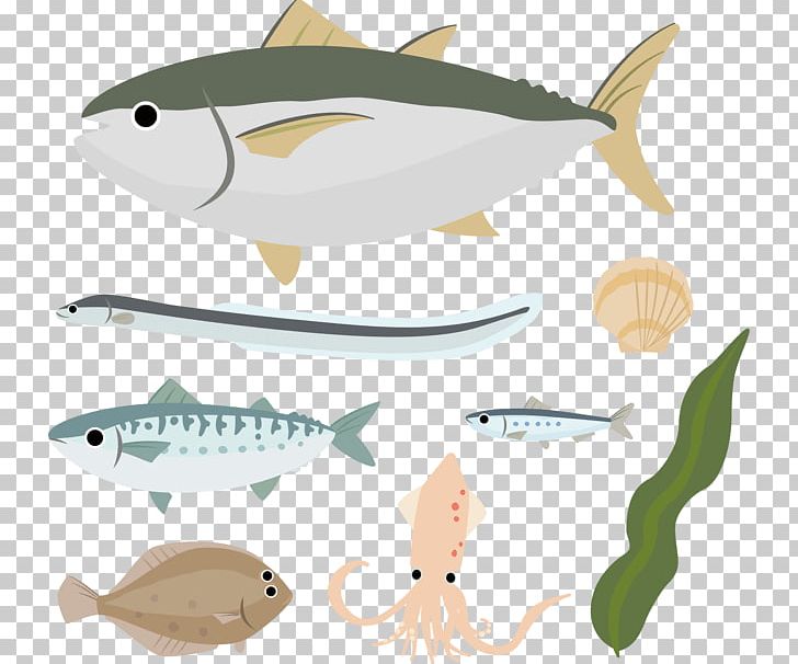 Fish Sardine Seafood PNG, Clipart, Ecosystem, Fauna, Fin, Fish, Fish Oil Free PNG Download