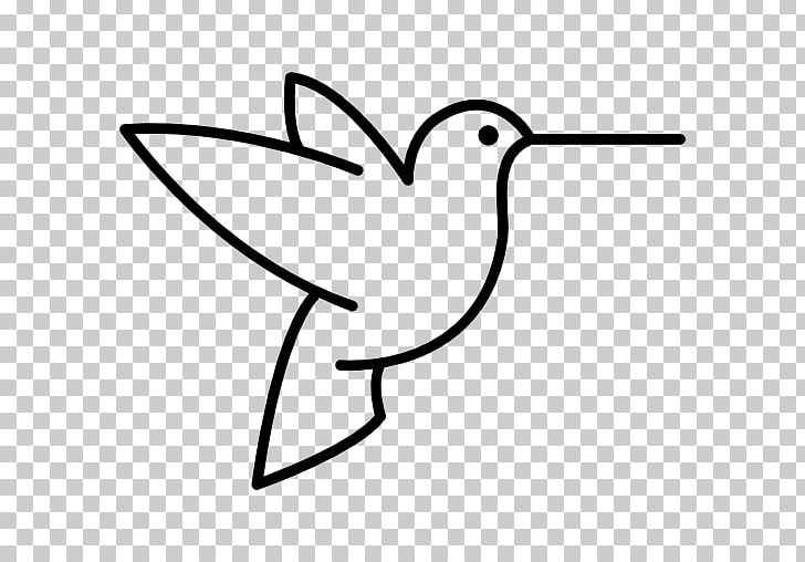 Hummingbird Duck Drawing PNG, Clipart, Animals, Artwork, Beak, Bird, Bird Clipart Free PNG Download