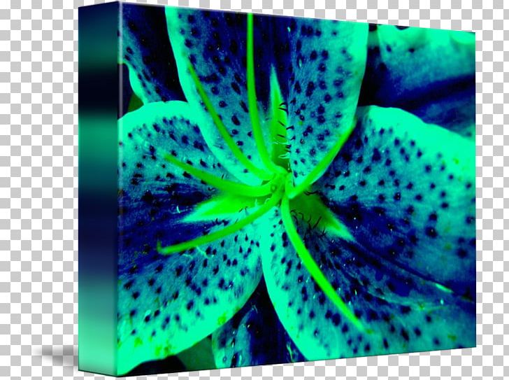 Marine Invertebrates Green Blue Lily 'Stargazer' Close-up PNG, Clipart,  Free PNG Download