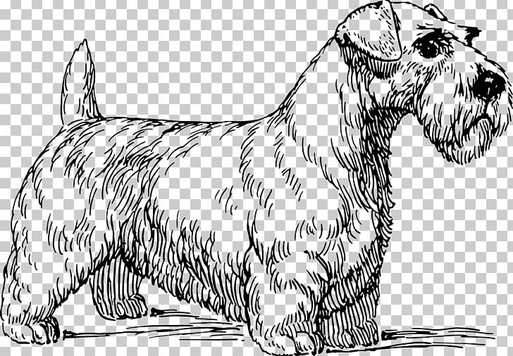Sealyham Terrier Cairn Terrier Irish Terrier Cesky Terrier PNG, Clipart, Animal, Black And White, Breed, Cairn Terrier, Carnivoran Free PNG Download