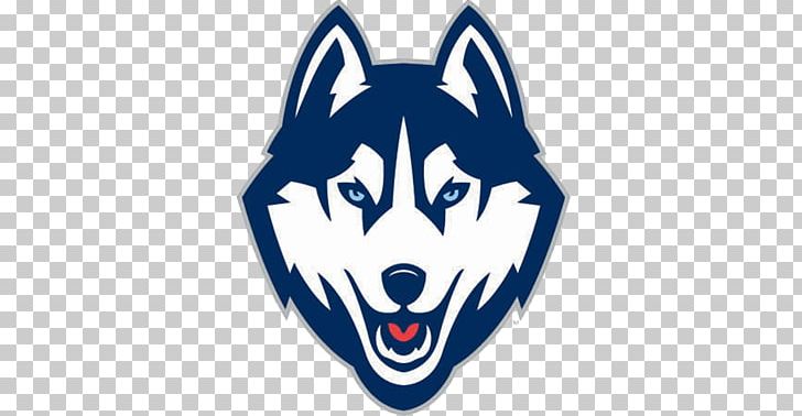 University Of Connecticut Connecticut Huskies Football Connecticut Huskies Men's Basketball Connecticut Huskies Women's Basketball Connecticut Huskies Men's Ice Hockey PNG, Clipart,  Free PNG Download