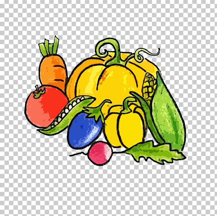Vegetable Tree Frog LEAPS Kochi PNG, Clipart, Amphibian, Area, Art, Artwork, Cartoon Free PNG Download