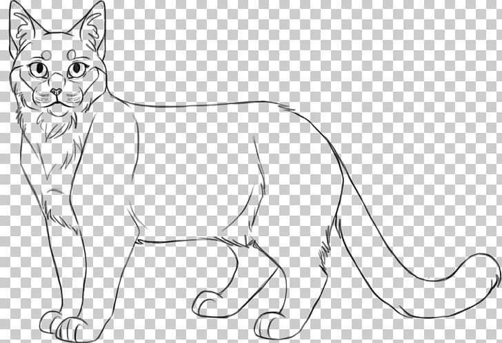Whiskers Domestic Short-haired Cat Wildcat Line Art PNG, Clipart, Animal Figure, Animals, Artwork, Big Cat, Big Cats Free PNG Download