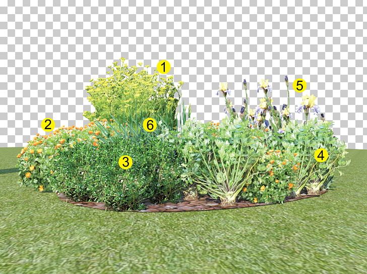 Bedding Garden Jardin D'agrément Plus JEDEN DEŇ Plant PNG, Clipart,  Free PNG Download