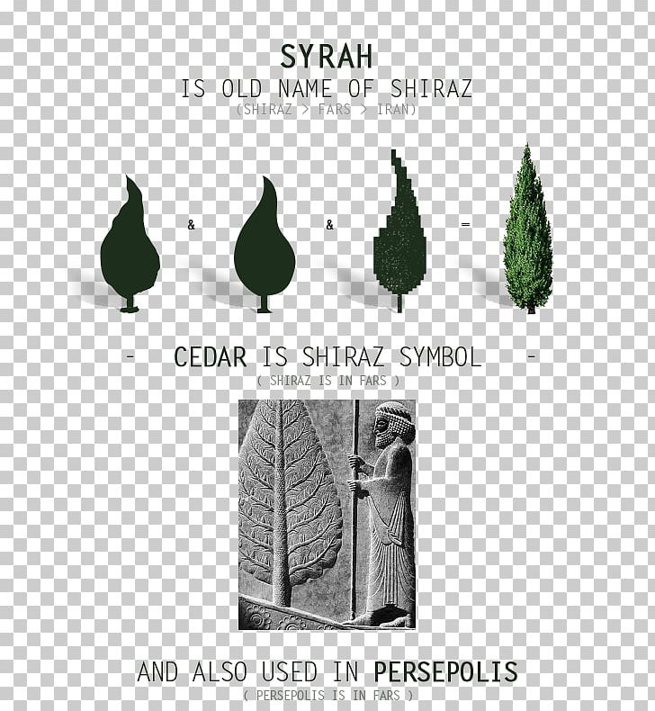 Florame Persepolis Relief Huile Essentielle Cypres Bio Product Design PNG, Clipart, Brand, Engraving, Essential Oil, Florame, Green Free PNG Download