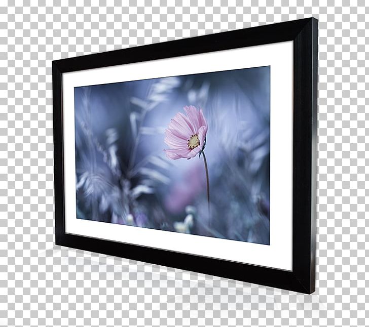 Frames Photography Printing Display Device Canvas Print PNG, Clipart, Canvas, Canvas Print, Computer Monitor, Computer Monitors, Digital Image Free PNG Download