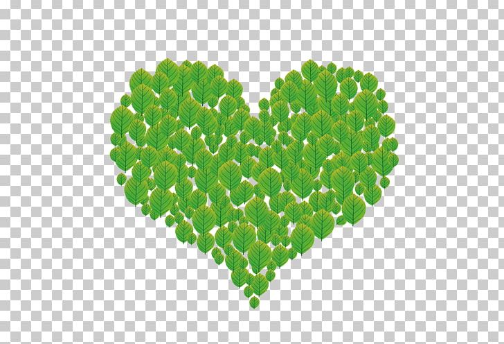 Green Heart PNG, Clipart, Background Green, Breath, Cartoon, Computer Software, Day Free PNG Download