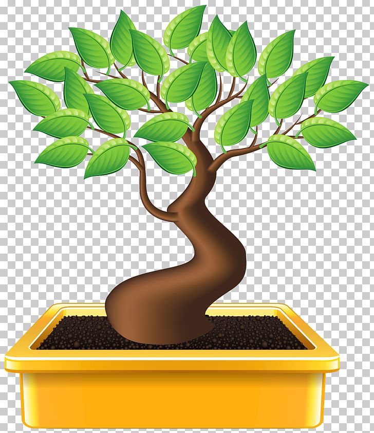 Indoor Bonsai Stock Photography Png Clipart Bonsai Bonsai Styles Clipart Clip Art Drawing Free Png Download