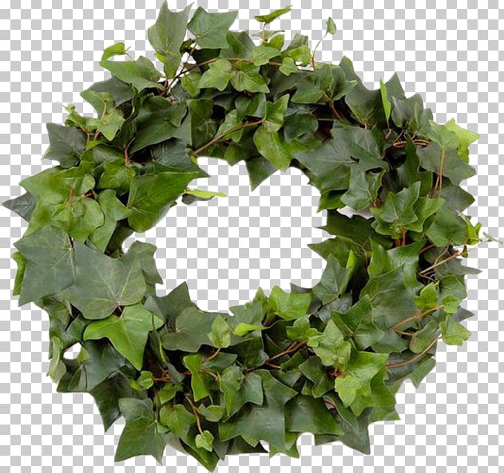 Leaf Wreath Garland Crown PNG, Clipart, Background Green, Composition Florale, Crown, Crown Green, Fall Leaves Free PNG Download