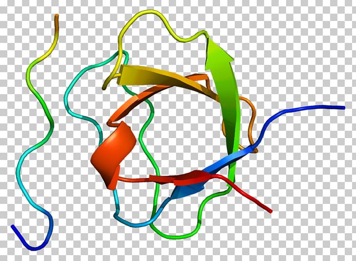 Adapter Molecule Crk Signal Transducing Adaptor Protein SH3 Domain Protein Structure PNG, Clipart, Adapter, Adapter Molecule Crk, Area, Artwork, Enzyme Substrate Free PNG Download