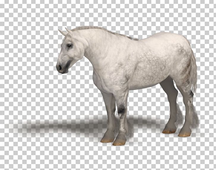 Breton Horse Mane Stallion Pony Mare PNG, Clipart, 3d Computer Graphics, 3d Rendering, Animal Figure, Daz, Daz 3 D Free PNG Download