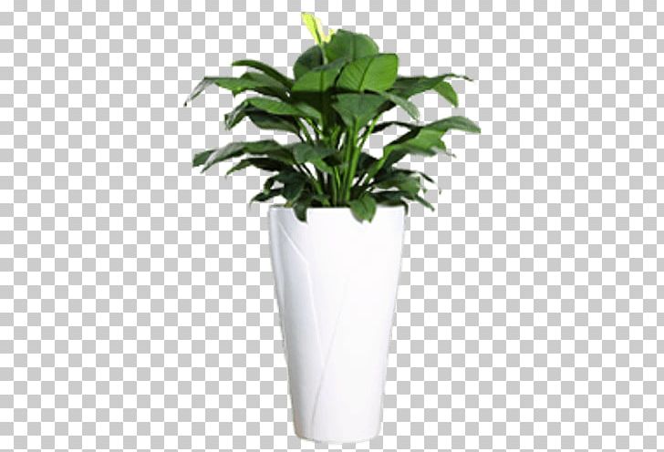 Houseplant Flowerpot Light Ornamental Plant PNG, Clipart, Areca Palm, Color, Fiber, Fiberglass, Fibrereinforced Plastic Free PNG Download