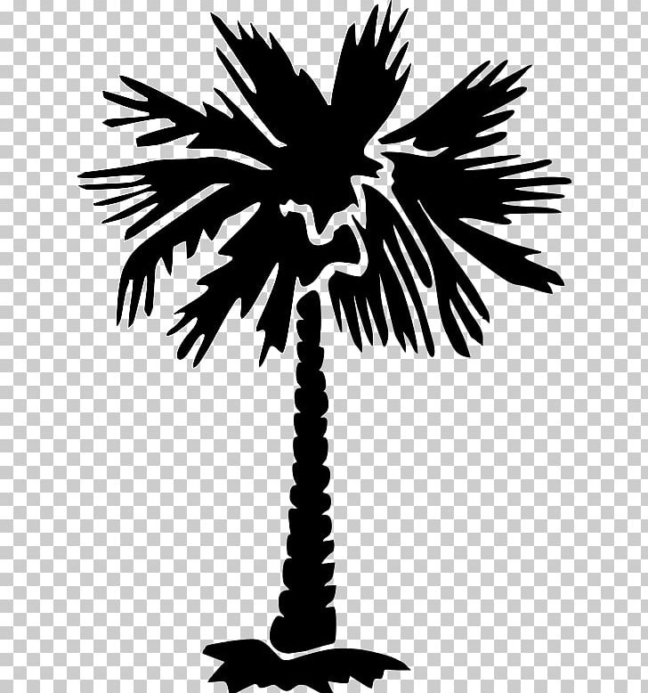 Sabal Palm Arecaceae Tree PNG, Clipart, Arecaceae, Arecales, Artwork, Black And White, Borassus Flabellifer Free PNG Download