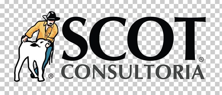 Scot Consultoria Consultant Cattle Agribusiness PNG, Clipart, Agribusiness, Animal Husbandry, Area, Benchmarking, Brand Free PNG Download