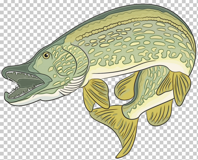 Turtles Fish Cartoon Biology Science PNG, Clipart, Biology, Cartoon, Fish, Paint, Science Free PNG Download