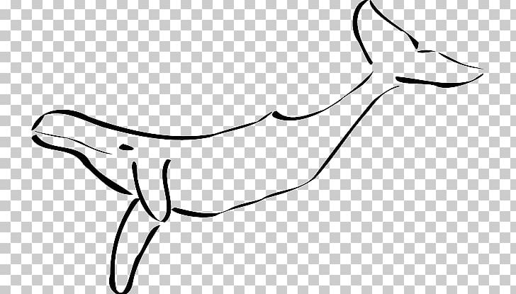 Cetaceans Humpback Whale PNG, Clipart, Arm, Art, Artwork, Beak, Bird Free PNG Download