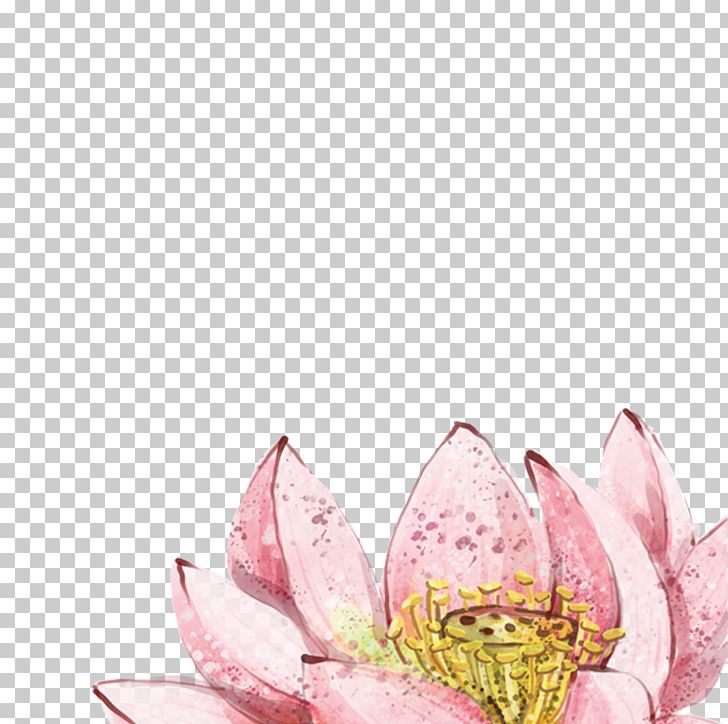 China Nelumbo Nucifera Watercolor Painting PNG, Clipart, Blossom, Buckle, Floral Design, Flower, Flower Bouquet Free PNG Download