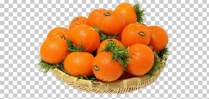 Clementine Mandarin Orange Tangerine Tangelo Bitter Orange PNG, Clipart, Citrus, Food, Fruit, Natural Foods, Orange Free PNG Download