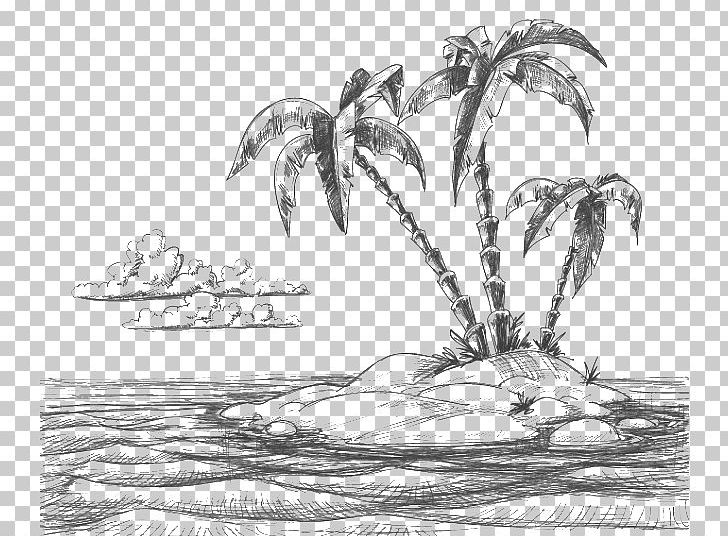 Drawing Beach Sketch PNG, Clipart, Artwork, Black And White, Coconut, Coconut Tree, Color Pencil Free PNG Download