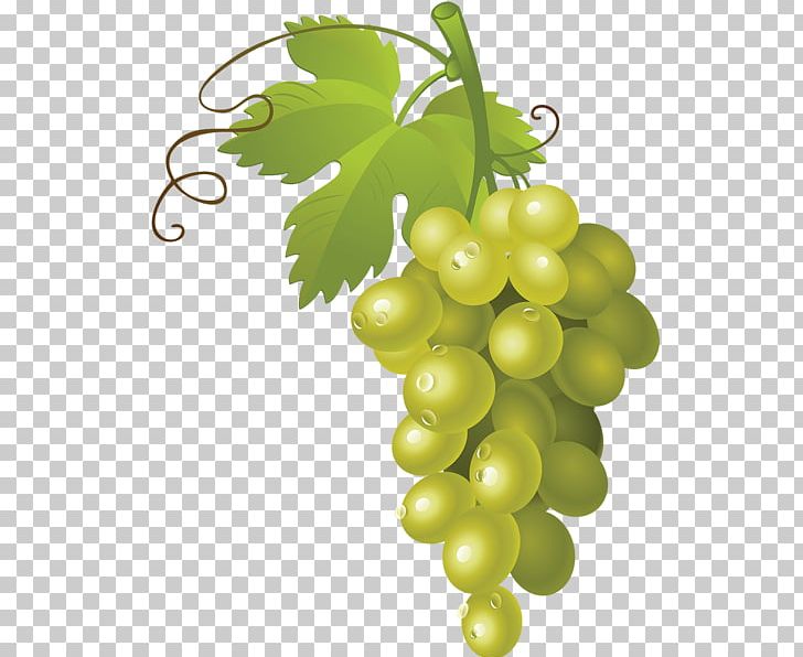 White Wine Muscat Grape PNG, Clipart, Common Grape Vine, Flowering Plant, Food, Fruit, Fruit Nut Free PNG Download